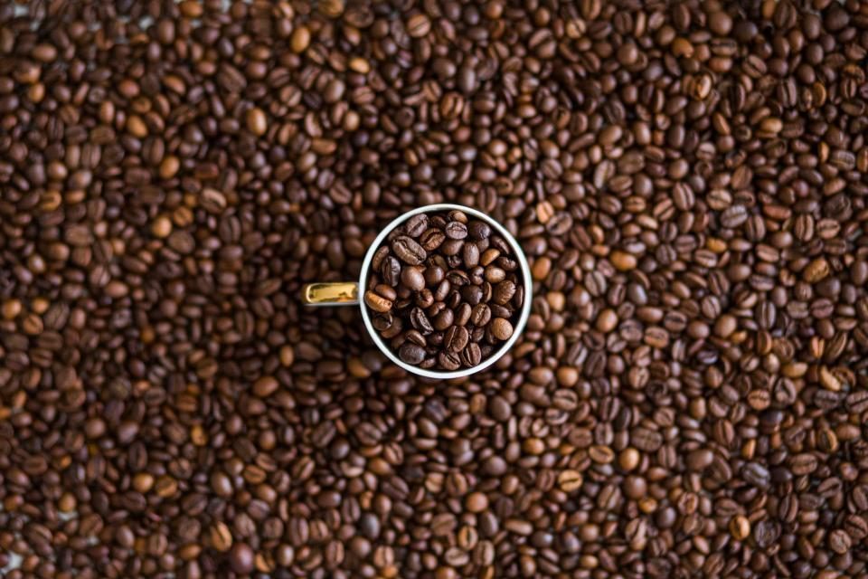 Grains de café torréfiés avec une tasse posée dessus, torréfaction maison de la Brûlerie Plateau